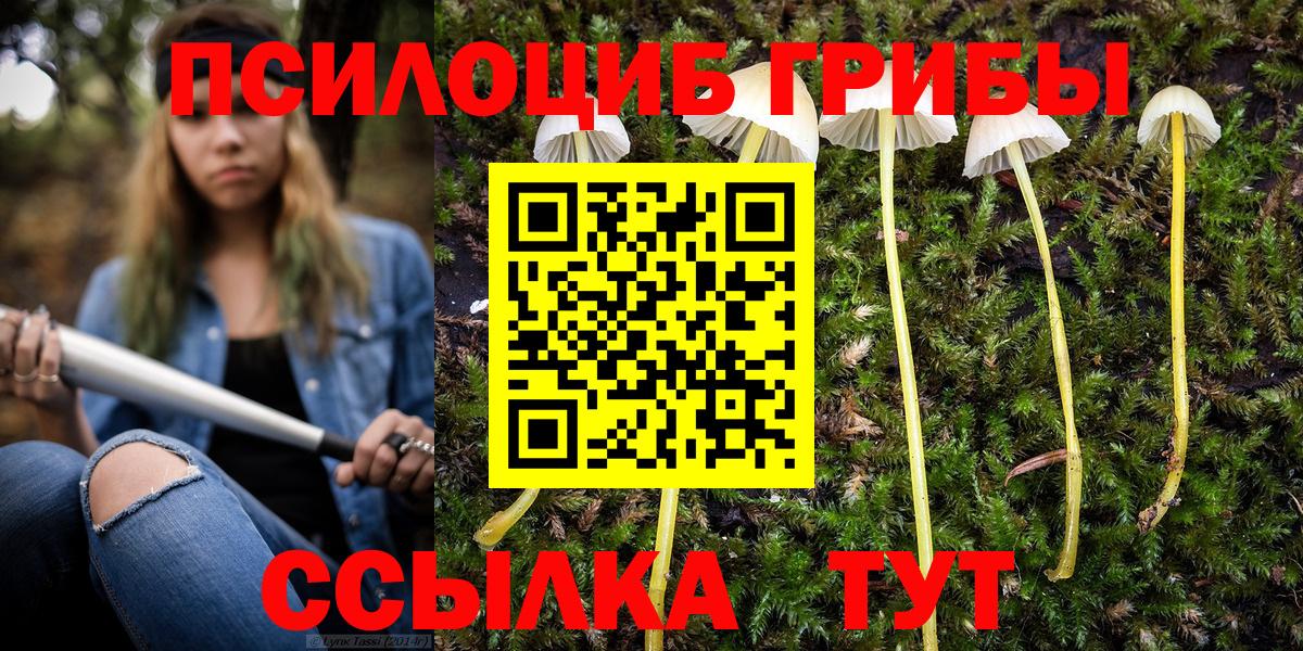 Галлюциногенные грибы MAGIC MUSHROOMS Тосно