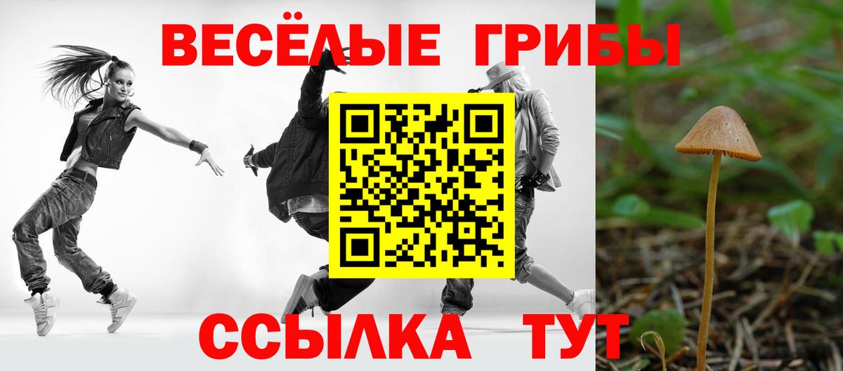 Галлюциногенные грибы мухоморы  Вход с VPN  Тосно  Псилоцибиновые грибы MAGIC MUSHROOMS 
